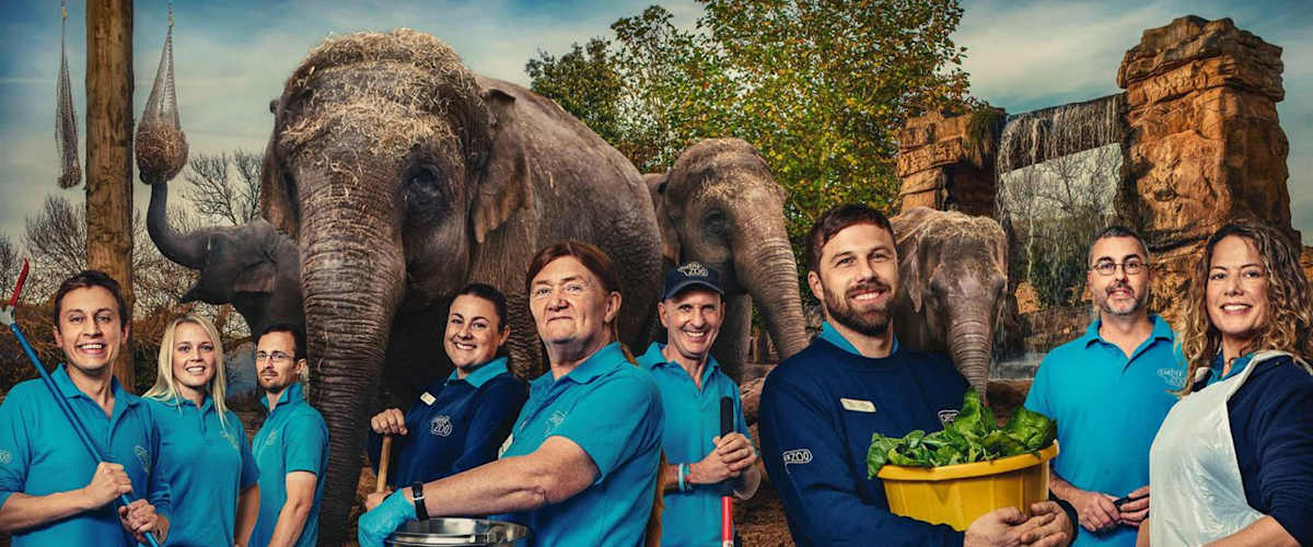 Watch The Secret Life of The Zoo - Season 5