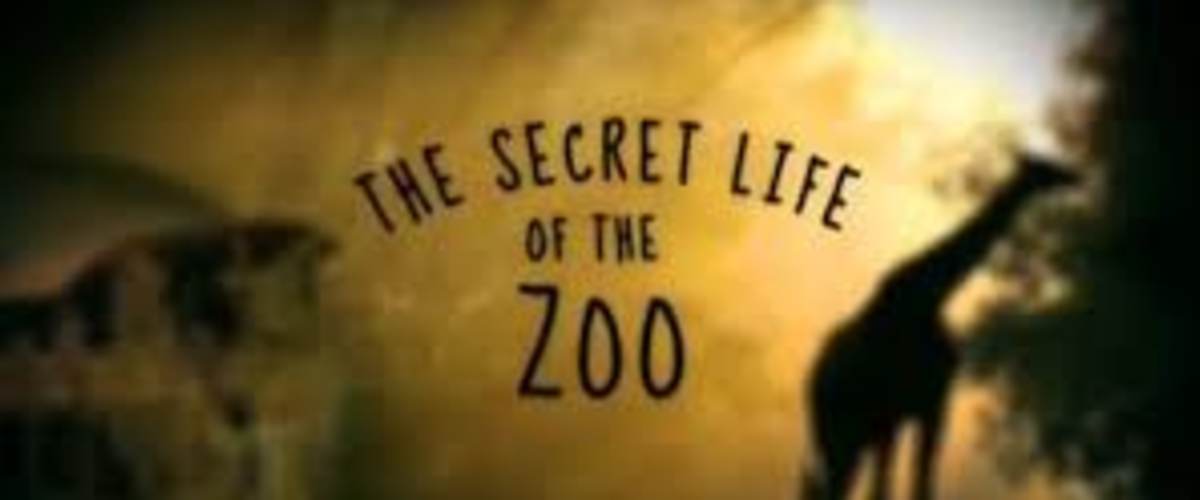 The Secret Life of The Zoo - Season 6