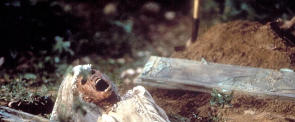 The Serpent and the Rainbow