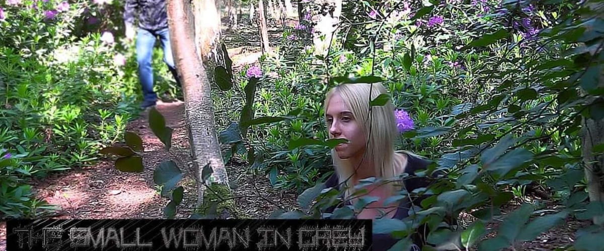 The Small Woman in Grey