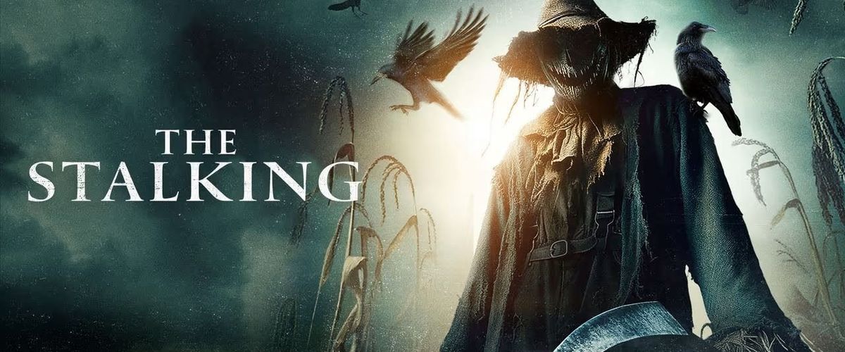 The Stalking