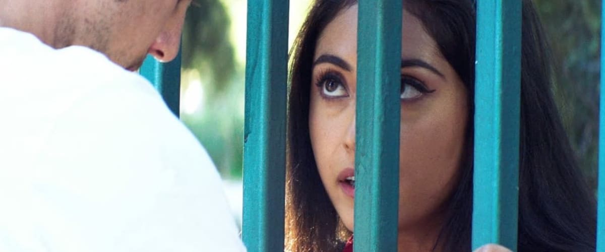 Watch The Wall of Mexico