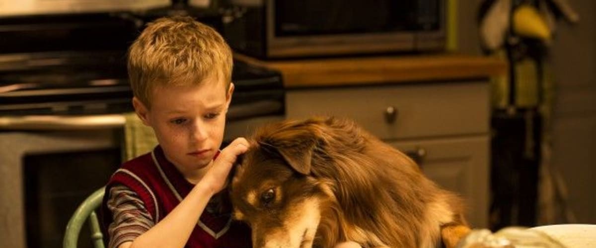 Watch The Young and Prodigious TS Spivet
