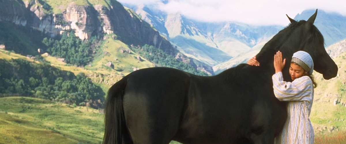 The Young Black Stallion