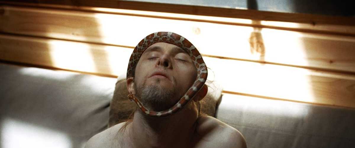 Theo and the Metamorphosis