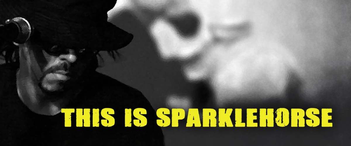 This Is Sparklehorse
