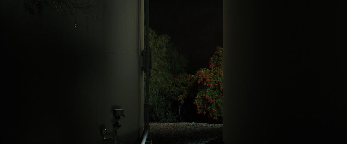 Tomorrow, You Pretty Ghost