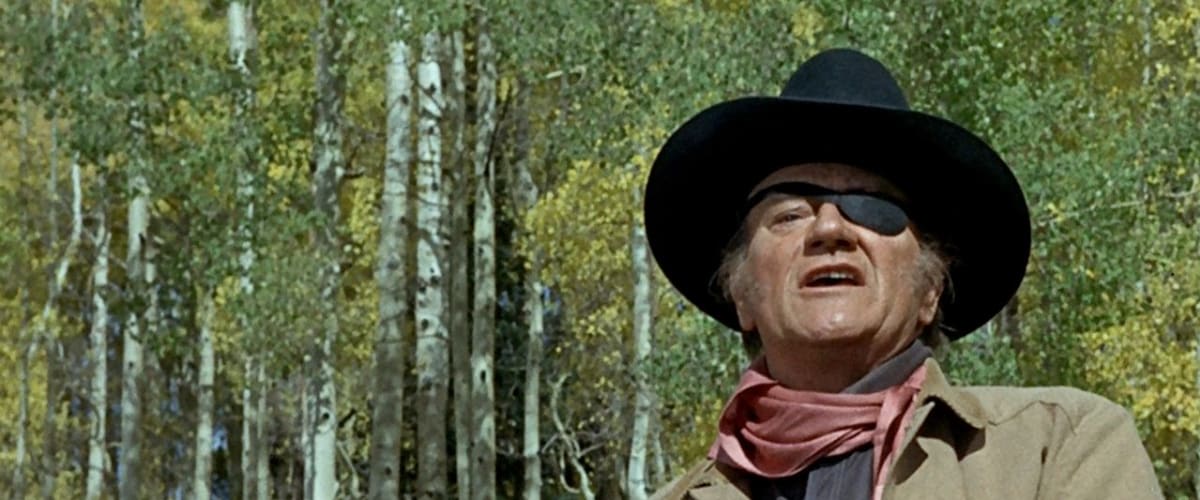 True Grit! (1969)