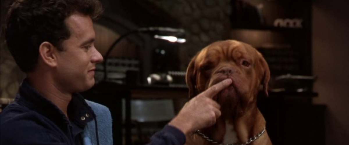 Watch Turner And Hooch
