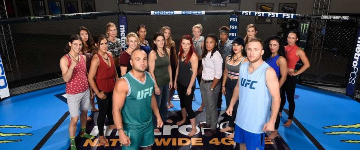 watch the ultimate fighter online free