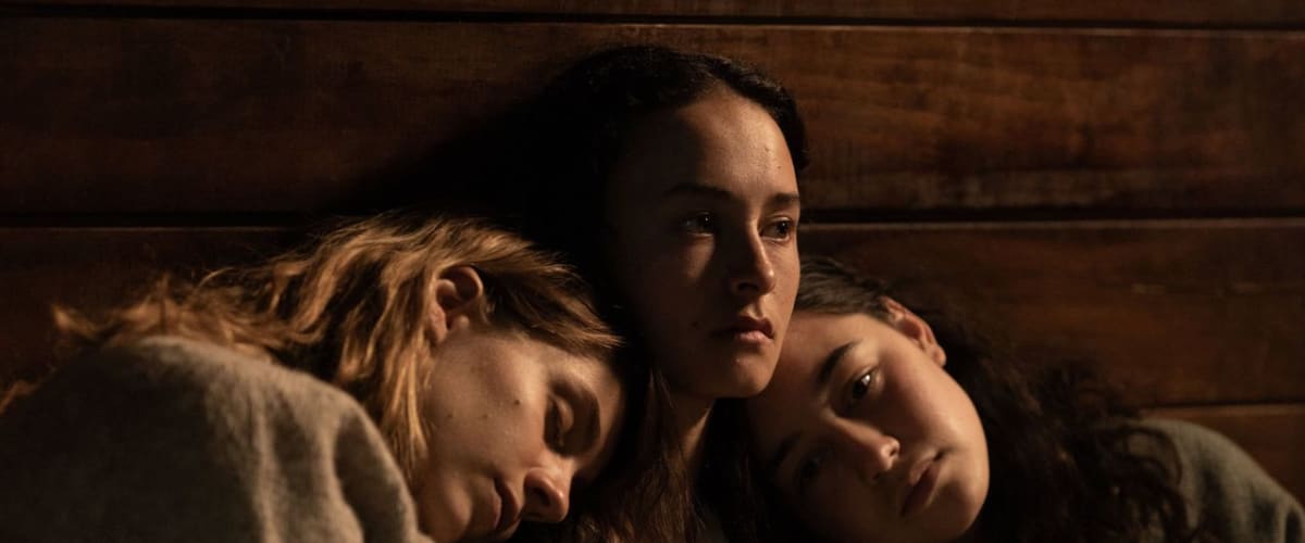 Watch We Were Dangerous