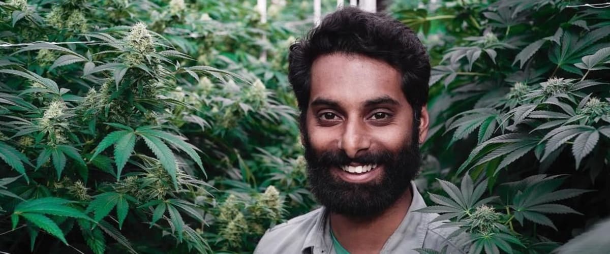 Watch Weediquette - Season 3