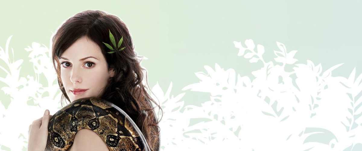 Weeds - Season 3