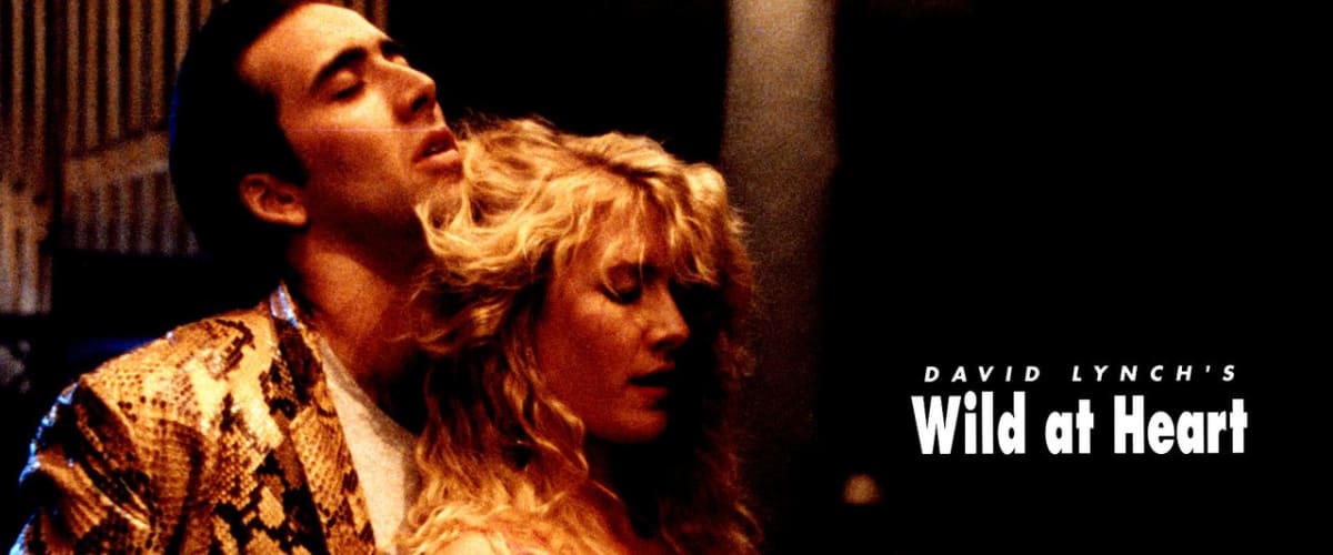 Watch Wild At Heart in 1080p on Soap2day