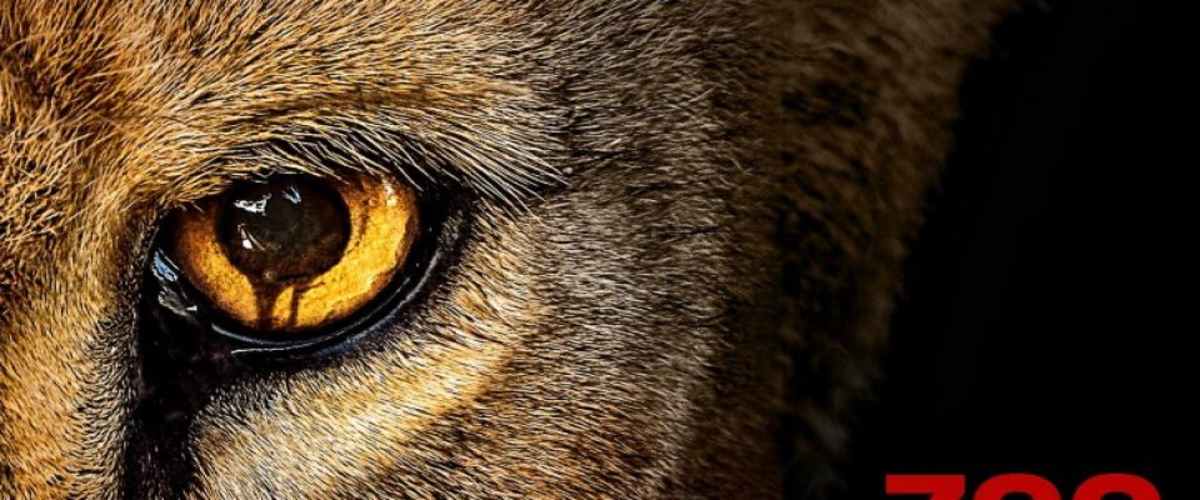 Zoo - Season 1