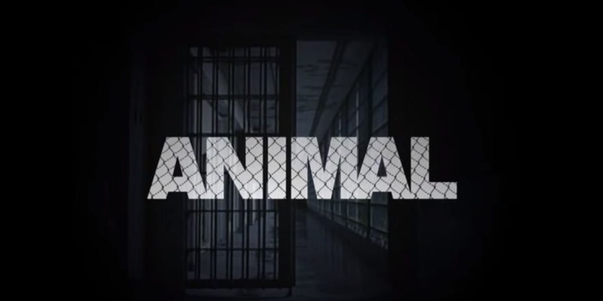 Animal