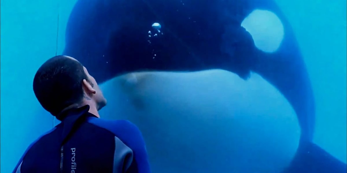 Blackfish