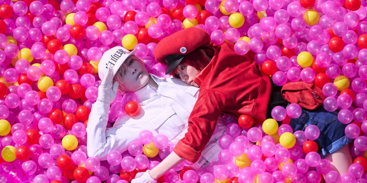 Cells at Work!