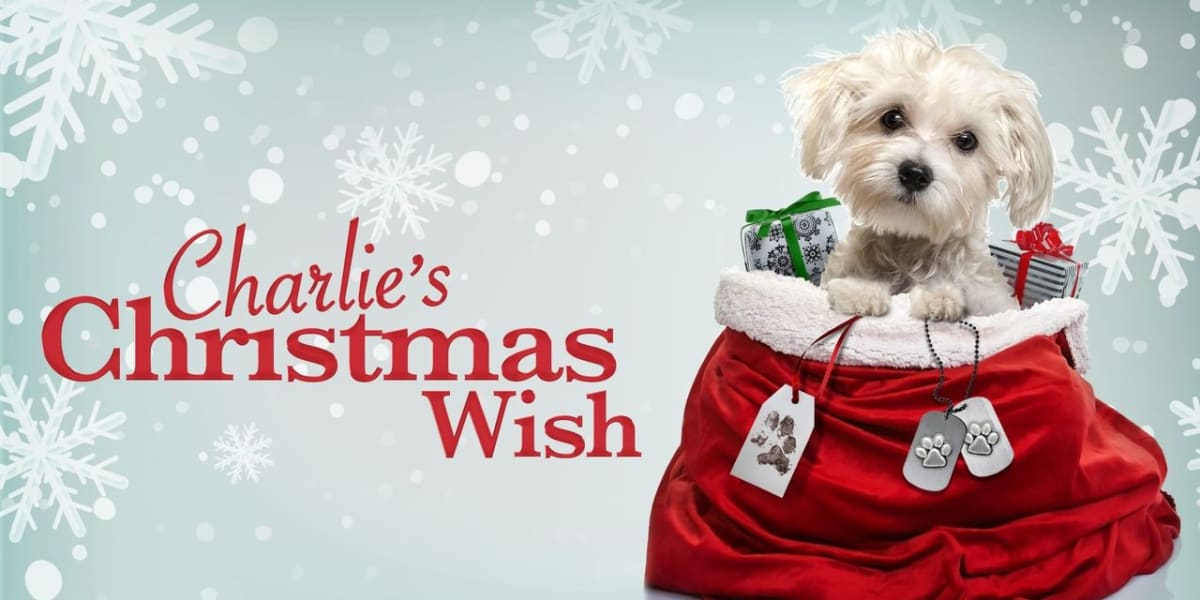 Charlie's Christmas Wish