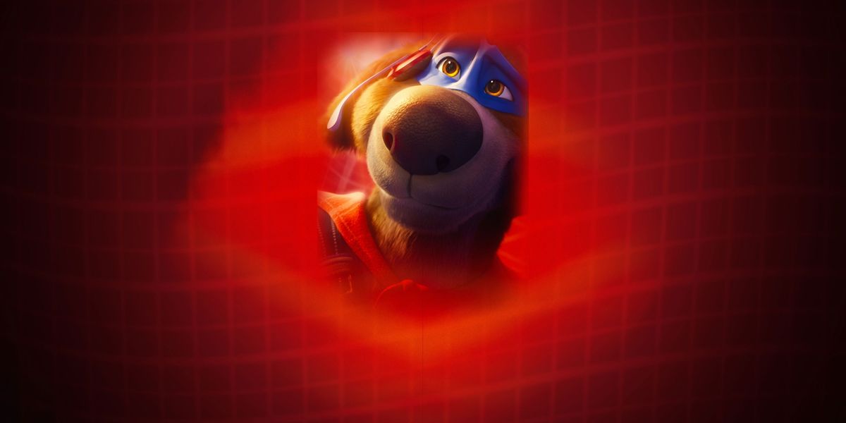 Charlie the Wonderdog