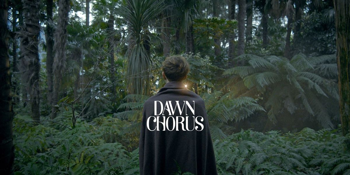 Dawn Chorus