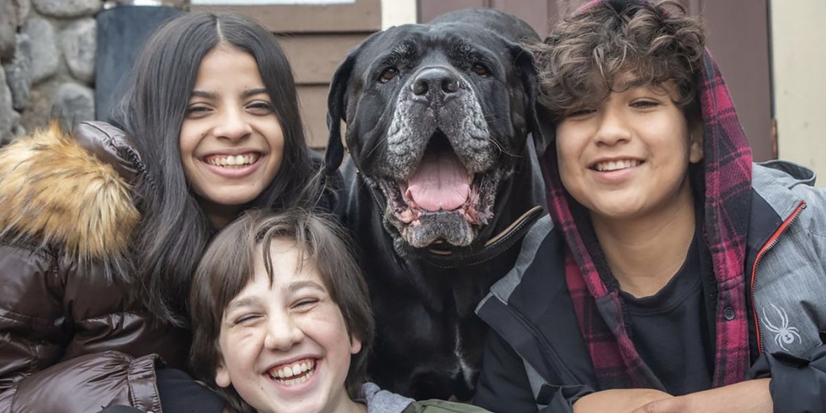 Dog Patrol: Operation Santa Paws