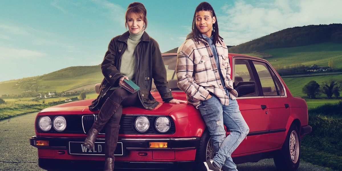Harry Wild - Season 5