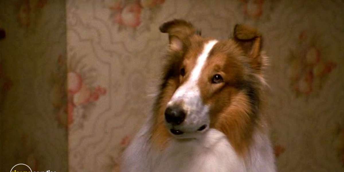 Lassie (1994)