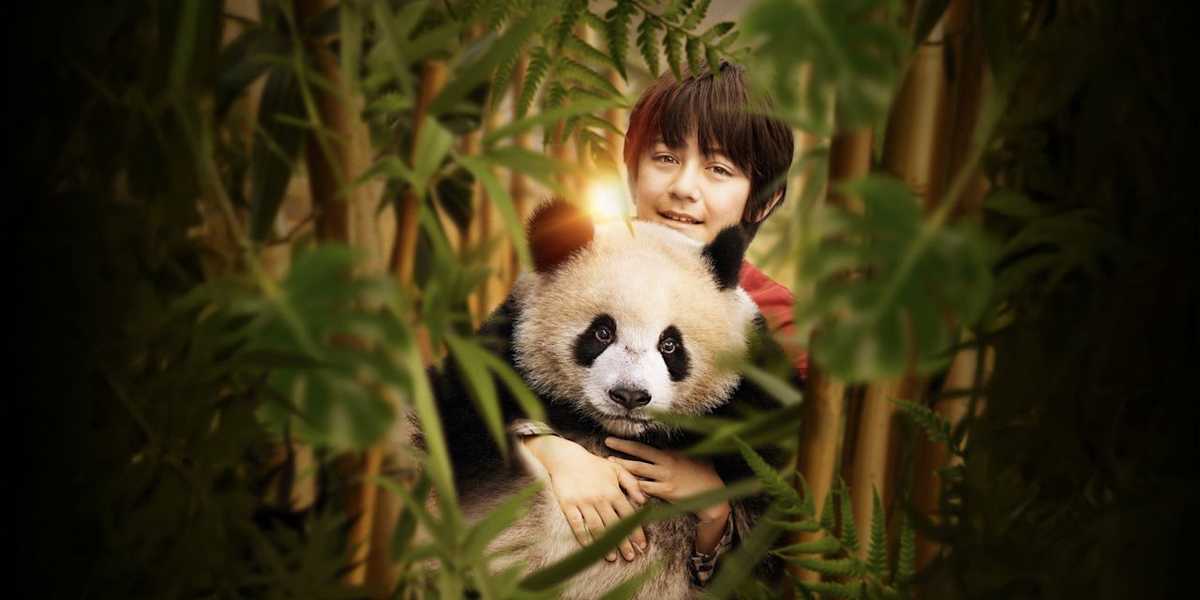 Moon The Panda