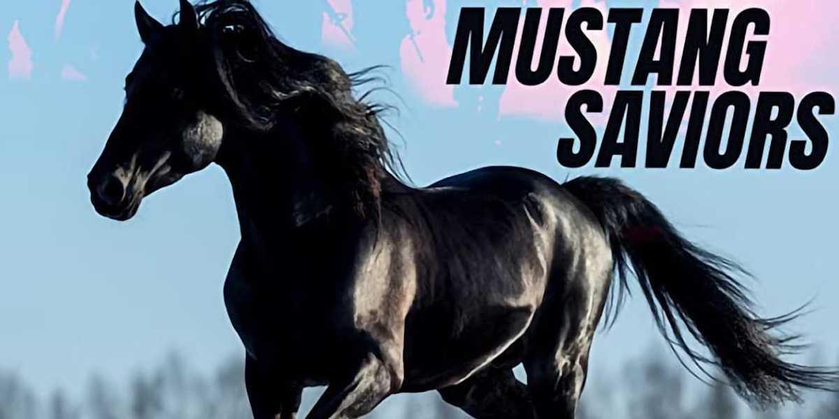 Mustang Saviors