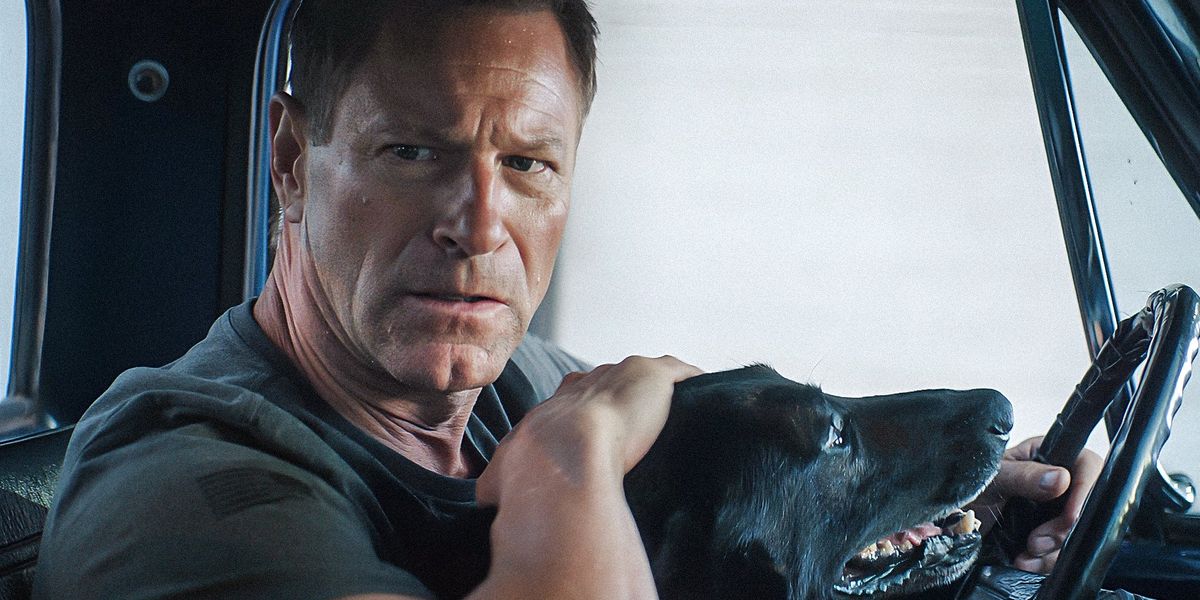 Muzzle: City of Wolves