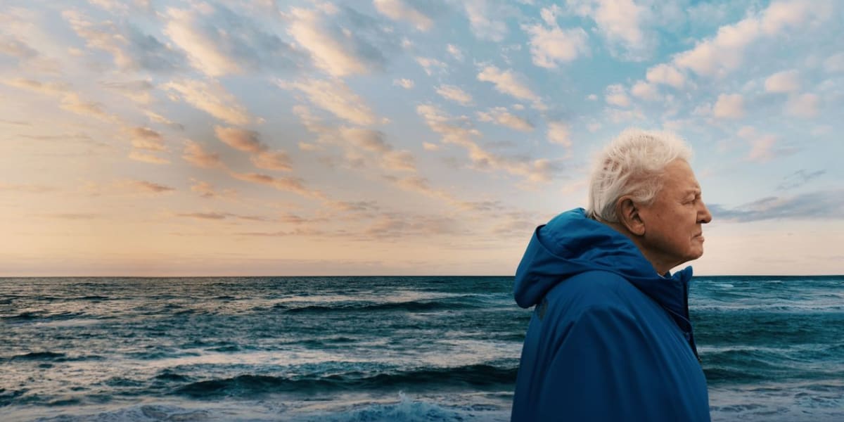 Ocean with David Attenborough