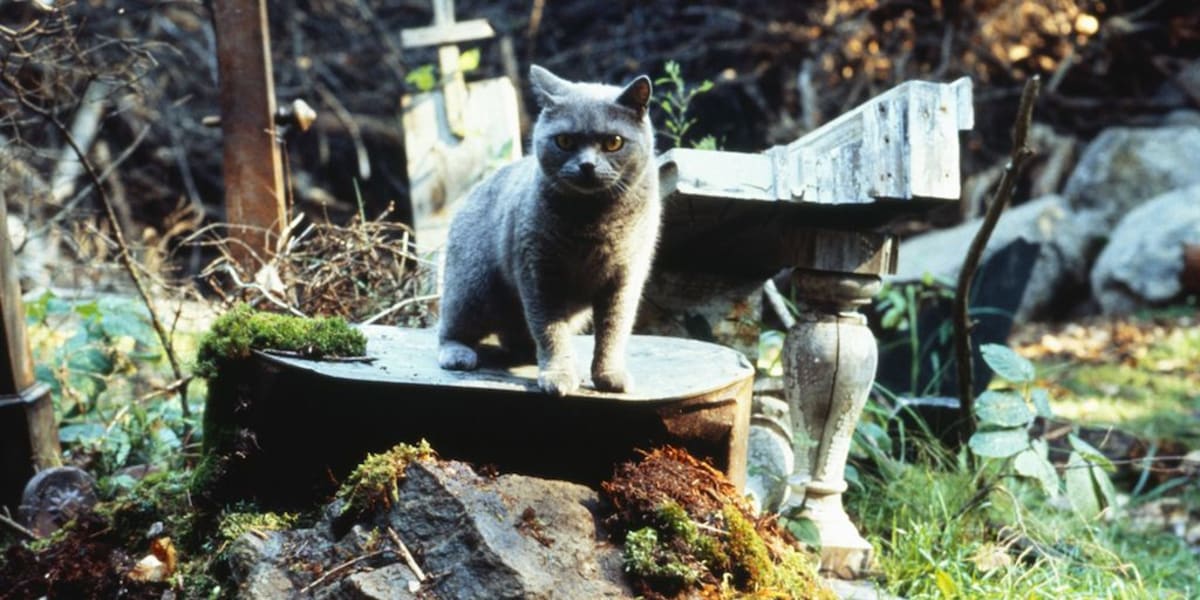 Pet Sematary