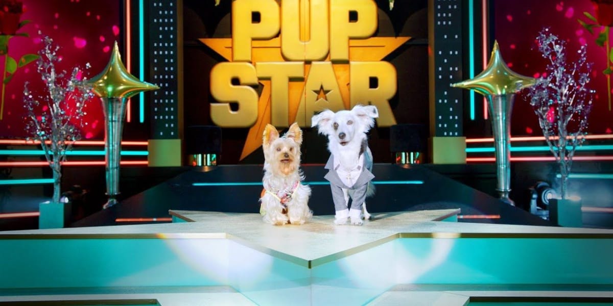 Pup Star