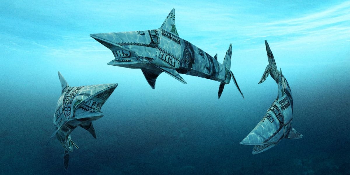 Shark Tank - Season 11
