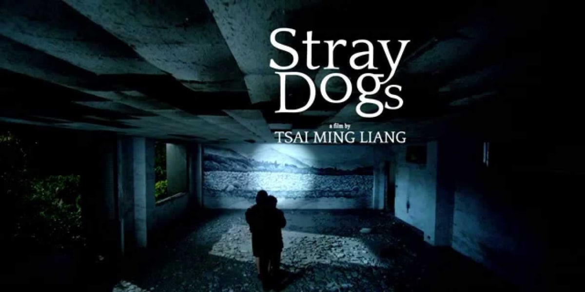 Stray Dogs