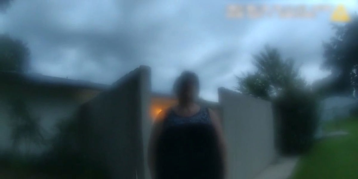 The Perfect Neighbor