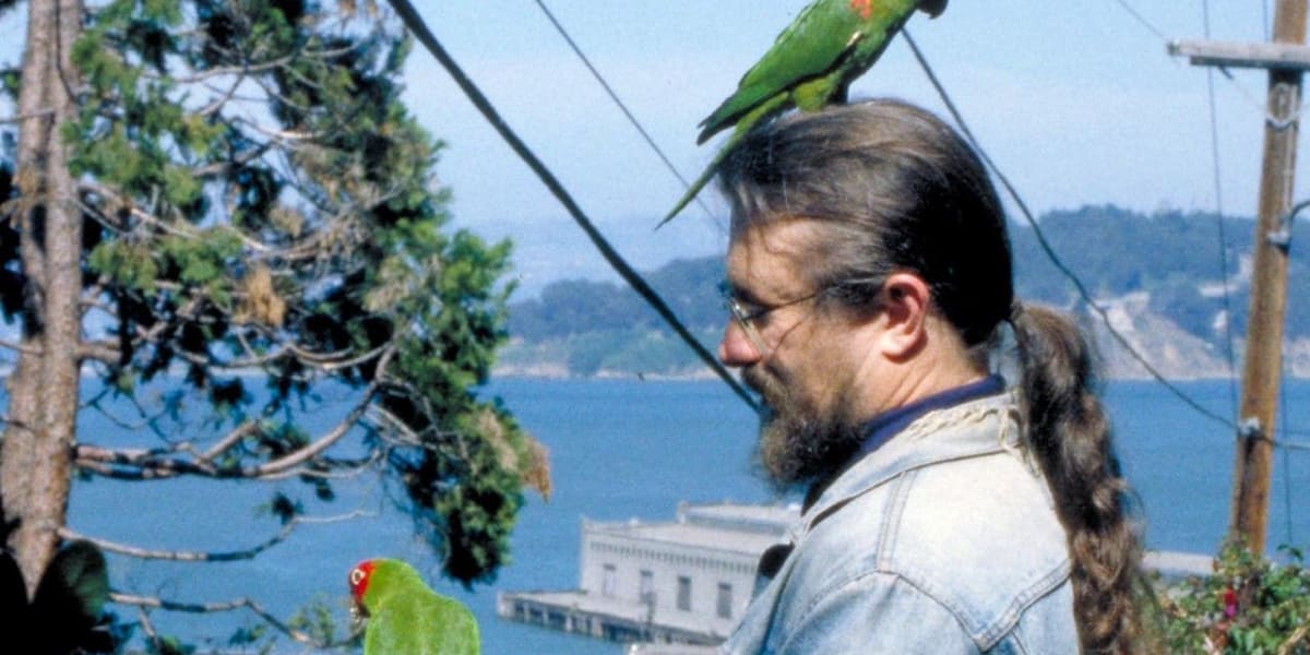 The Wild Parrots of Telegraph Hill