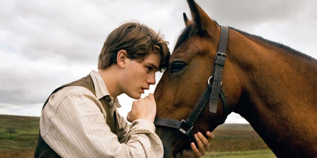 War Horse