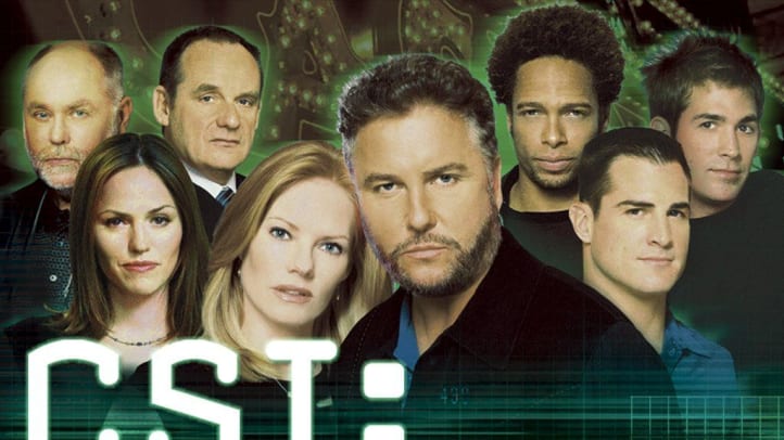 CSI - Season 10