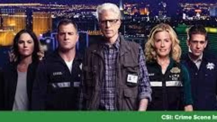CSI - Season 13