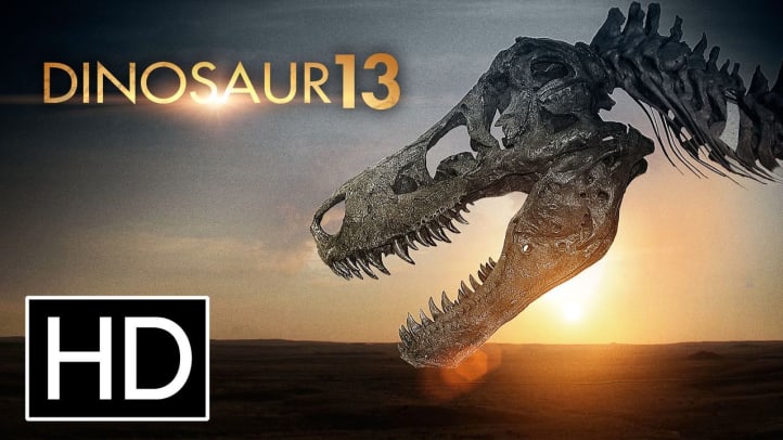 Dinosaur 13