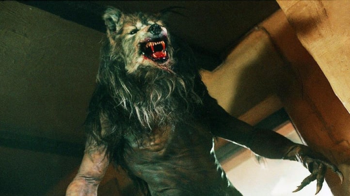 Dog Soldiers