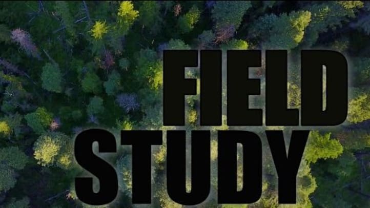 Field Study