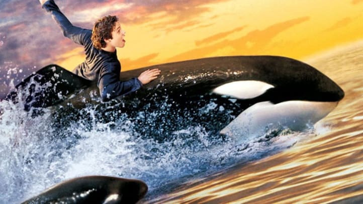 Free Willy 2: The Adventure Home