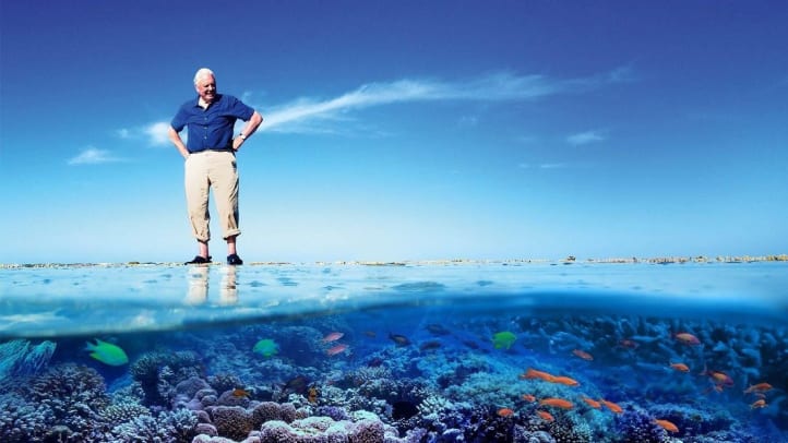 Great Barrier Reef with David Attenborough - Season 01