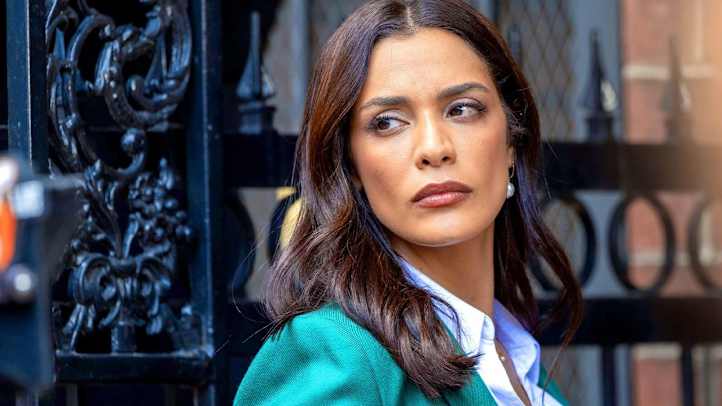 Law & Order - Season 25