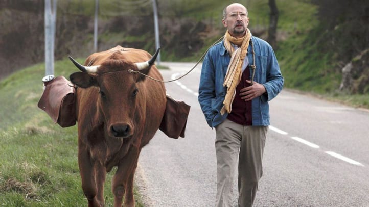 One Man And His Cow