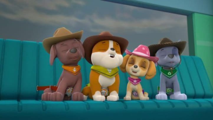 Paw Patrol Summer Rescues