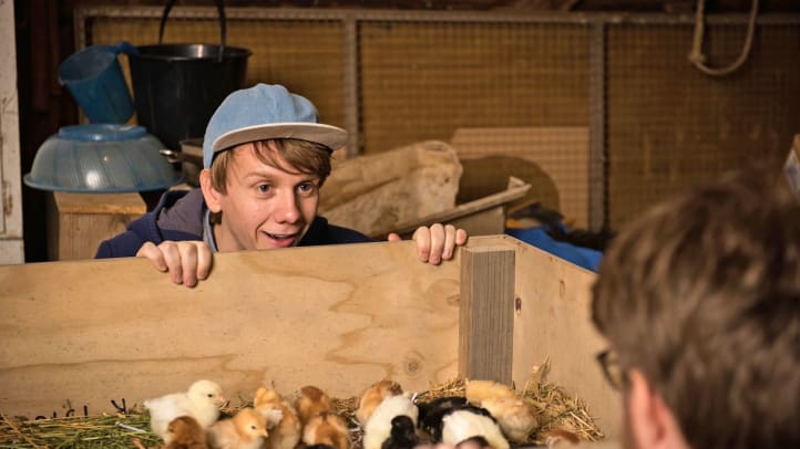 Please Like Me - Season 3